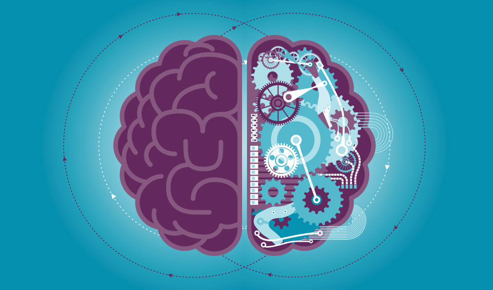 Human and AI brain